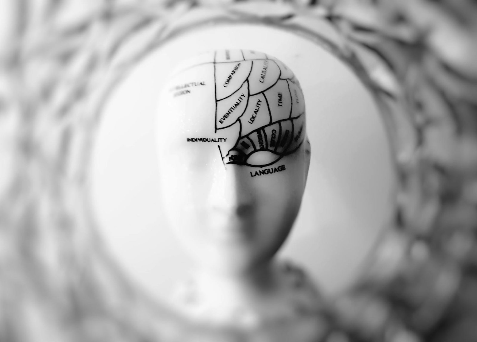 Photo by meo on <a href="https://www.pexels.com/photo/photo-of-head-bust-print-artwork-724994/" rel="nofollow">Pexels.com</a>